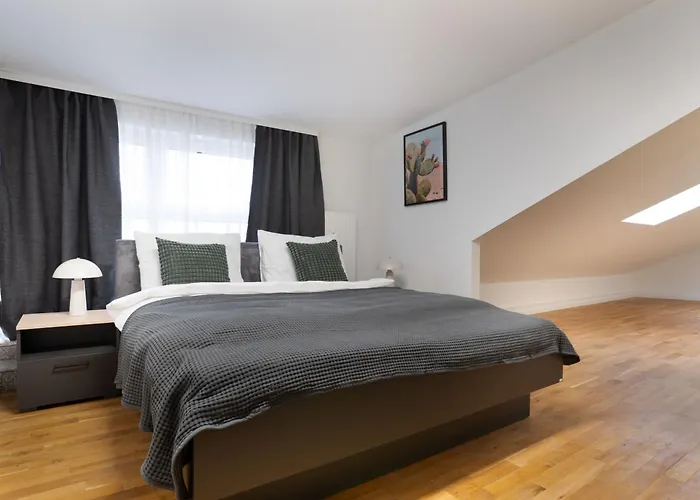 Schoene In I Home2share 公寓 莱茵河畔的巴特霍内夫